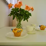 Regem Plonska Appartement