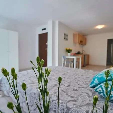 Regem Plonska Апартаменты *