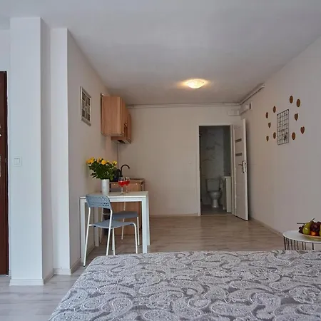 Regem Plonska Apartment *
