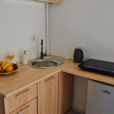 Regem Plonska Apartment Warsaw
