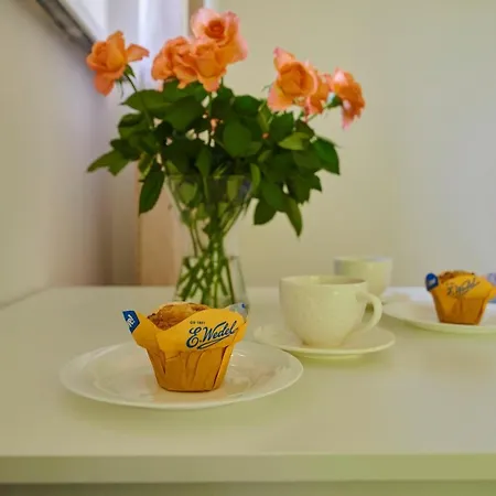 Regem Plonska Apartment